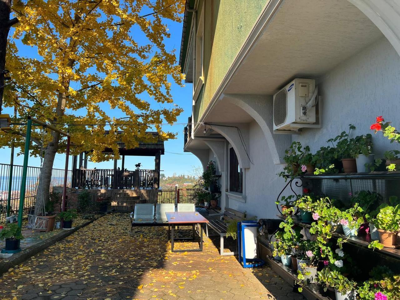 Gt House Batumi Hotell Eksteriør bilde